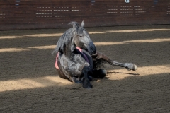 hdv2009_3991