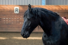hdv2009_4017