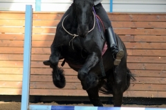 hdv2009_4037