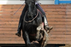 hdv2009_4039