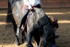hdv2009_4040