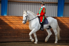 hdv2009_4045