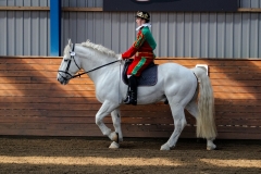 hdv2009_4047