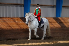 hdv2009_4050