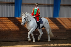 hdv2009_4051