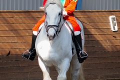hdv2009_4060