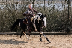 hdv2009_4096