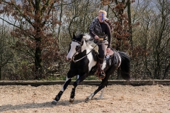 hdv2009_4103