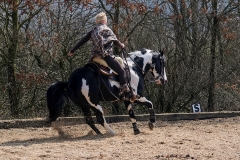 hdv2009_4108