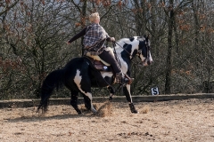hdv2009_4109