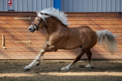 hdv2009_4121