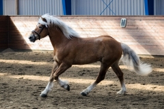 hdv2009_4131