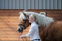 hdv2009_4140