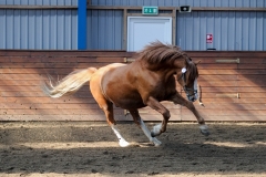 hdv2009_4169