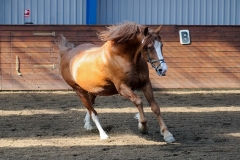 hdv2009_4171