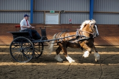 hdv2009_4200