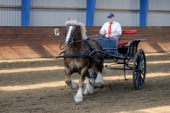 hdv2009_4203