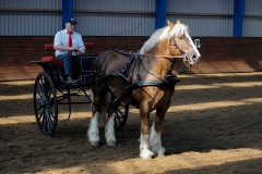 hdv2009_4216