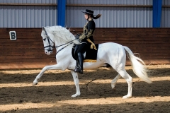 hdv2009_4243