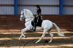 hdv2009_4244