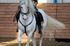 hdv2009_4256