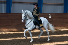 hdv2009_4257