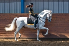 hdv2009_4259