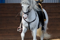 hdv2009_4264
