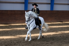 hdv2009_4267