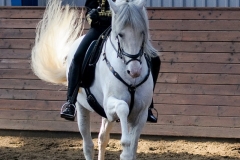 hdv2009_4274