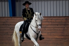 hdv2009_4279