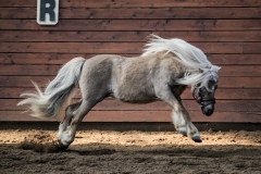 hdv2009_4291