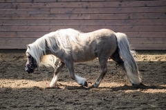 hdv2009_4310