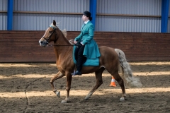 hdv2009_4318