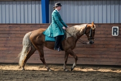 hdv2009_4322