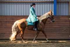 hdv2009_4327