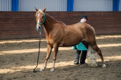 hdv2009_4337