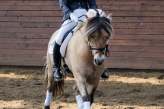 hdv2009_4353