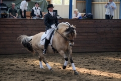 hdv2009_4367