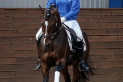 hdv2009_4396