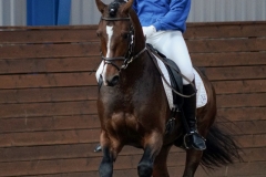 hdv2009_4397