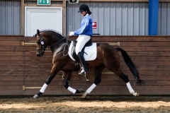 hdv2009_4412