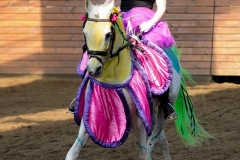 hdv2009_4437