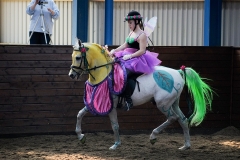 hdv2009_4451
