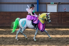 hdv2009_4467
