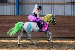 hdv2009_4473