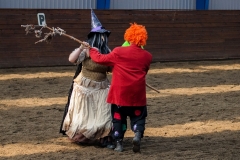 hdv2009_4495