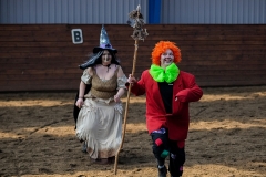 hdv2009_4501