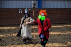 hdv2009_4502