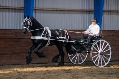 hdv2009_4519